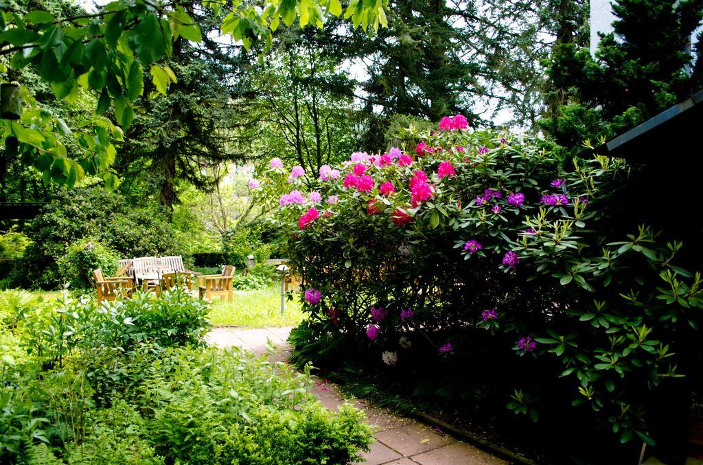 Haus Helvetia Bed & Breakfast Бад Орб Екстериор снимка