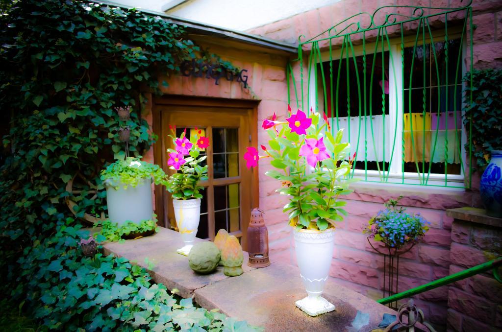 Haus Helvetia Bed & Breakfast Бад Орб Екстериор снимка